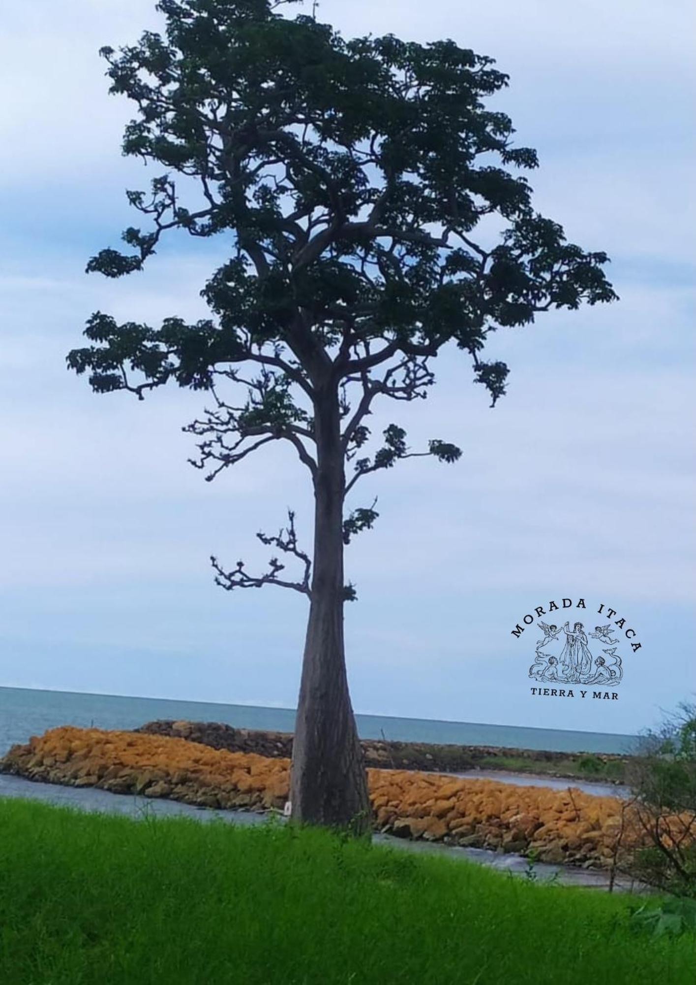 Morada Itaca - Arboletes Apartment Ngoại thất bức ảnh